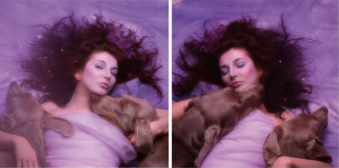 album or cover kate bush hounds of love