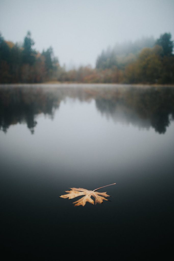 Autumn in the Norselands